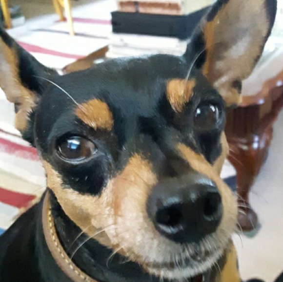 Meet your Posher, Mark - Picture 1 of 1